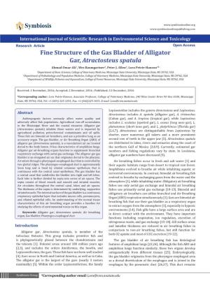 Fine Structure of the Gas Bladder of Alligator Gar, Atractosteus Spatula Ahmad Omar-Ali1, Wes Baumgartner2, Peter J