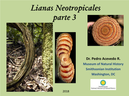Lianas Neotropicales, Parte 3