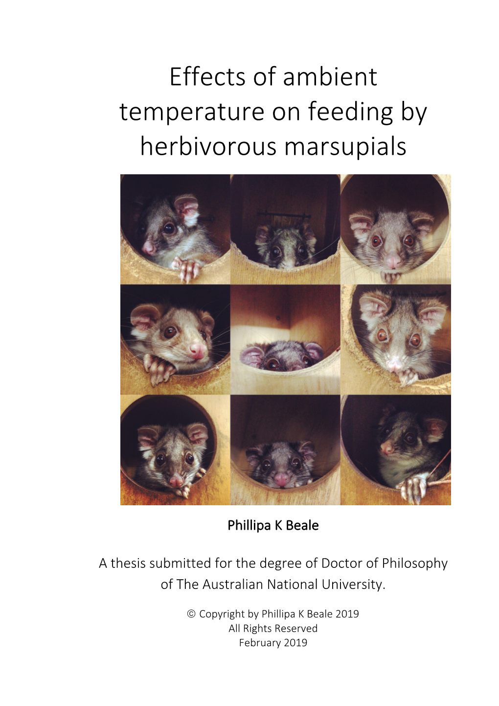 Effects of Ambient Temperature on Feeding by Herbivorous Marsupials