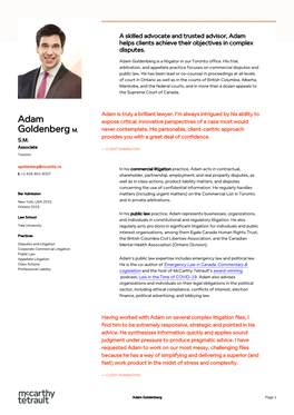 Adam Goldenberg Is a Litigator in Our Toronto Office