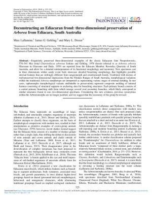 Deconstructing an Ediacaran Frond: Three-Dimensional Preservation of Arborea from Ediacara, South Australia