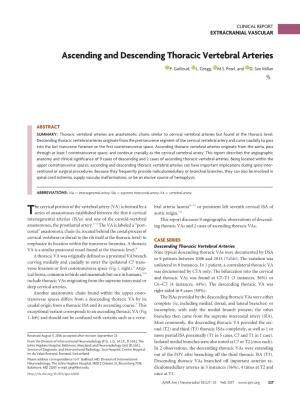 Ascending and Descending Thoracic Vertebral Arteries