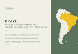 Brazil a Primer on Deforestation for Religious Leaders and Faith Communities