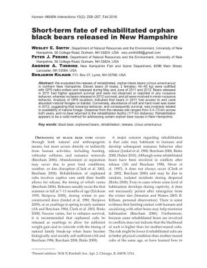 Short-Term Fate of Rehabilitated Orphan Black Bears Released in New Hampshire