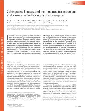 Sphingosine Kinases and Their Metabolites Modulate Endolysosomal Trafficking in Photoreceptors