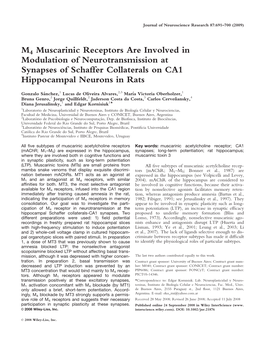 M4 Muscarinic Receptors Are Involved in Modulation of Neurotransmission at Synapses of Schaffer Collaterals on CA1 Hippocampal Neurons in Rats