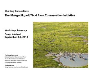 The Makgadikgadi/Nxai Pans Conservation Initiative Workshop Summary Camp Kalahari September 3-5, 2018