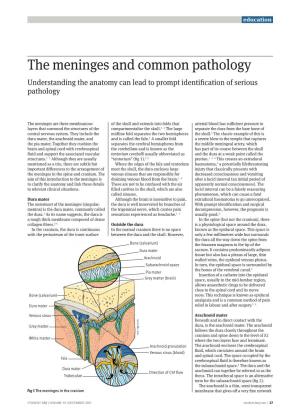 The Meninges and Common Pathology Understanding the Anatomy Can Lead to Prompt Identification of Serious Pathology