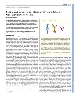 Spatial and Temporal Specification of Neural Fates by Transcription Factor Codes François Guillemot