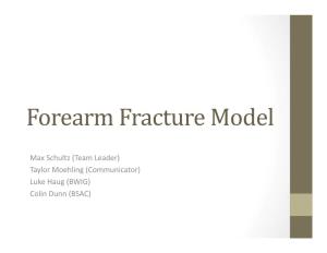 Forearm Fracture Model