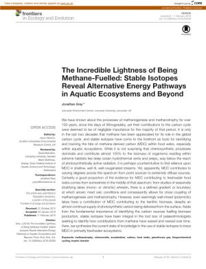 The Incredible Lightness of Being Methane-Fuelled: Stable Isotopes Reveal Alternative Energy Pathways in Aquatic Ecosystems and Beyond