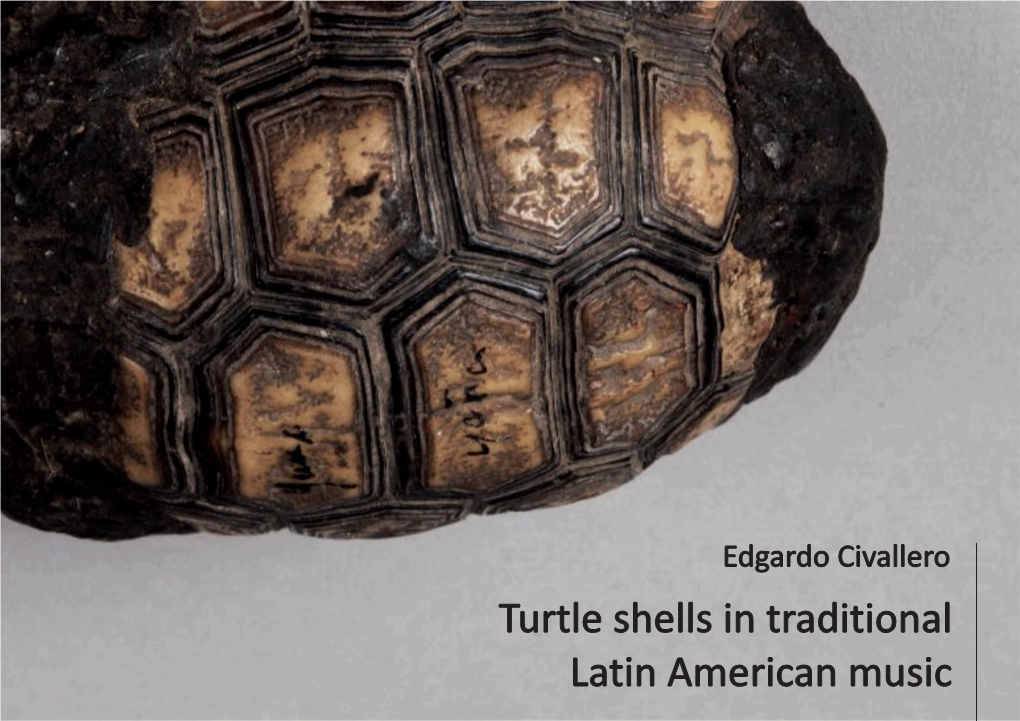 Turtle Shells in Traditional Latin American Music.Cdr
