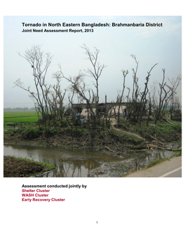 Brahmanbaria District Joint Need Assessment Report, 2013