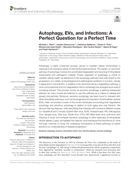 Autophagy, Evs, and Infections: a Perfect Question for a Perfect Time