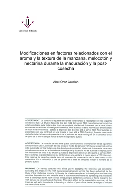 Modificaciones En Factores Relacionados Con El Aroma Y La Textura De La Manzana, Melocotón Y Nectarina Durante La Maduración Y La Post- Cosecha