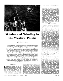 Whales and Whaling in the Western Pacific