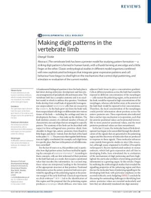 Making Digit Patterns in the Vertebrate Limb