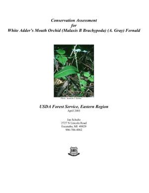 Conservation Assessment for White Adder's Mouth Orchid (Malaxis B Brachypoda)