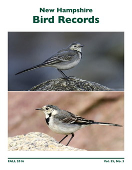 NH Bird Records