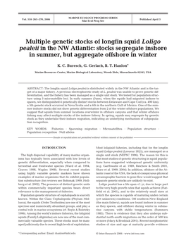 Multiple Genetic Stocks of Longfin Squid Loligo Pealeii in the NW Atlantic: Stocks Segregate Inshore in Summer, but Aggregate Offshore in Winter