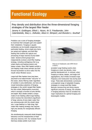 Prey Density and Distribution Drive the Three-Dimensional Foraging Strategies of the Largest Filter Feeder