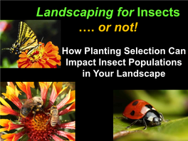 Landscaping for Insects …. Or Not!