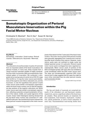 Somatotopic Organization of Perioral Musculature Innervation Within the Pig Facial Motor Nucleus
