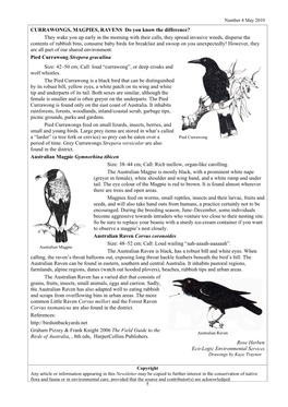 CURRAWONGS, MAGPIES, RAVENS Do You Know the Difference?