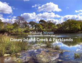 2017 Community Action Plan for Coney Island Creek & Parklands
