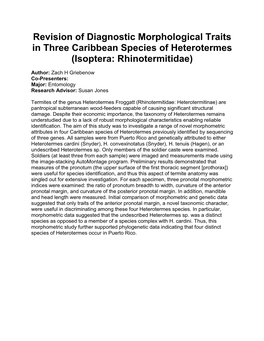 Revision of Diagnostic Morphological Traits in Three Caribbean Species of Heterotermes (Isoptera: Rhinotermitidae)