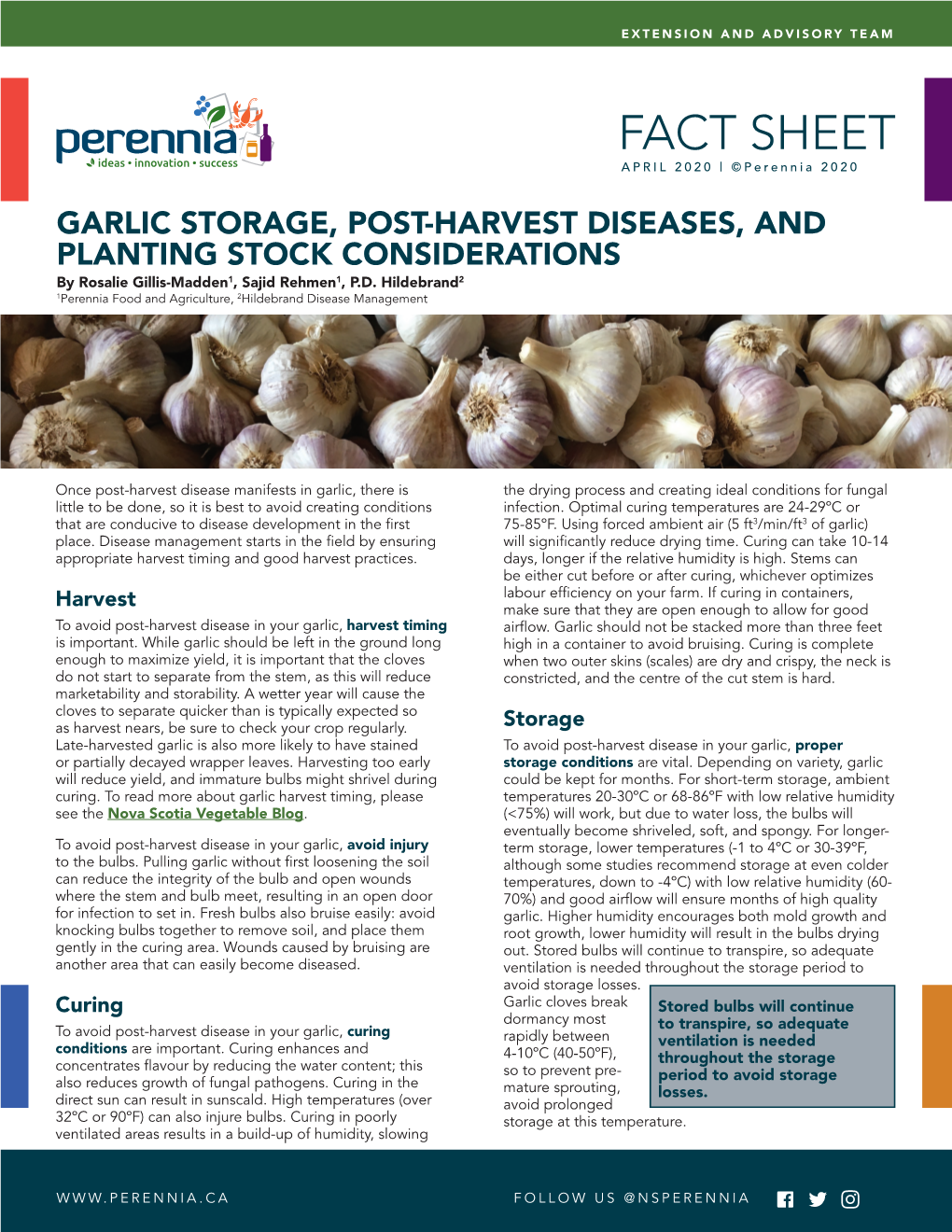 Fact-Sheet-Garlic-Post-Harvest-Final