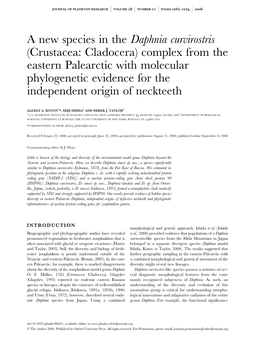 A New Species in the Daphnia Curvirostris (Crustacea: Cladocera)