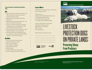 Livestock Protection Dogs on Private Lands: Protecting Sheep from Predators
