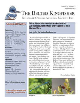 What Made Me an Odonate Enthusiast? a Brief Natural History of Dragonflies and Damselflies
