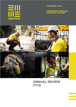 Annual Review Fy18
