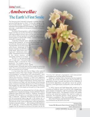 Amborella: the Earth’S First Smile