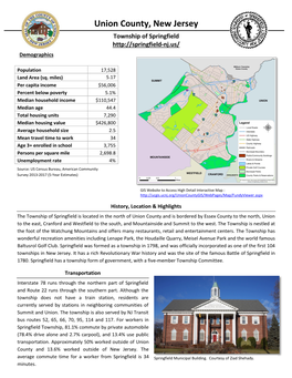 Springfield Demographics