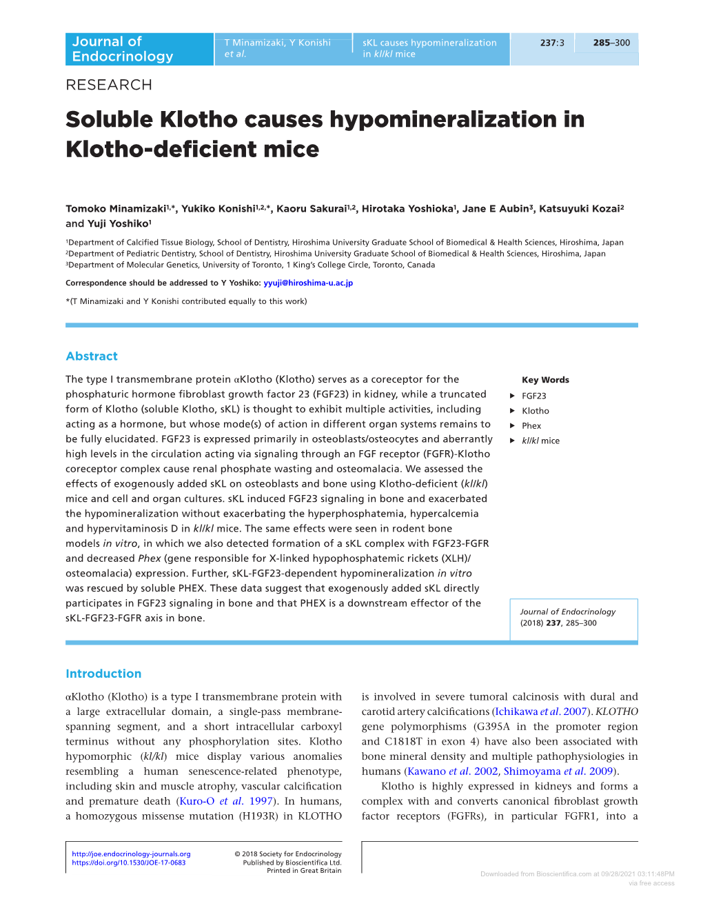 Soluble Klotho Causes Hypomineralization in Klotho-Deficient Mice