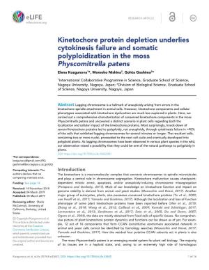 Kinetochore Protein Depletion Underlies Cytokinesis Failure And