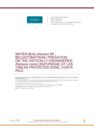 WATER-BUG (Abedus SP.; BELOSTOMATIDAE) PREDATION on the CRITICALLY ENDANGERED Atelopus Varius (BUFONIDAE) at LAS TABLAS PROTECTED ZONE, COSTA RICA