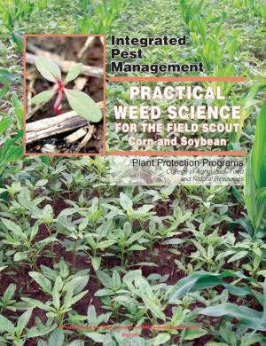 Practical Weed Science for the Field Scout Corn and Soybean