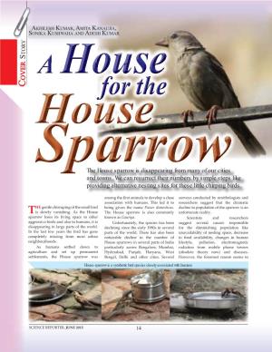 The House Sparrow Is Disappearing from Many of Our Cities and Towns