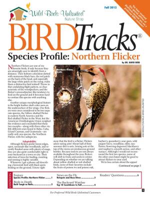 Species Profile:Northern Flicker