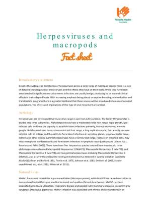 Macropod Herpesviruses Dec 2013
