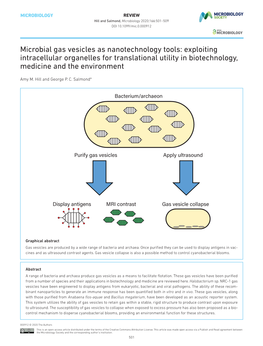 Microbial Gas Vesicles As Nanotechnology Tools: Exploiting Intracellular Organelles for Translational Utility in Biotechnology, Medicine and the Environment