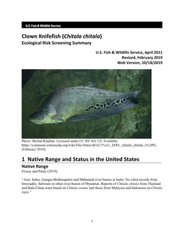 Chitala Chitala) Ecological Risk Screening Summary