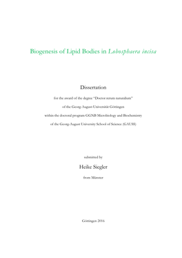 Biogenesis of Lipid Bodies in Lobosphaera Incisa