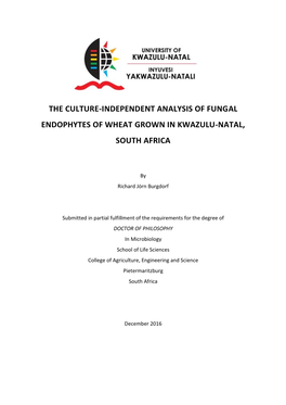 The Culture-Independent Analysis of Fungal Endophytes of Wheat Grown in Kwazulu-Natal, South Africa