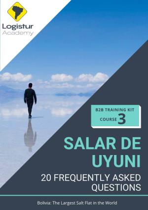 Salar De Uyuni 20 Frequently Asked Questions