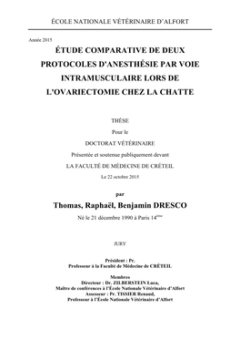 Étude Comparative De Deux Protocoles D'anesthésie Par Voie Intramusculaire Lors De